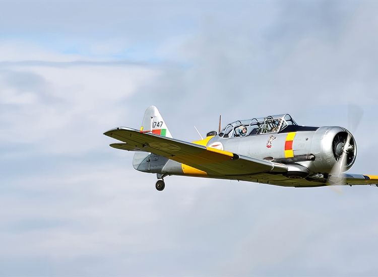 Compton Abbas Airfield